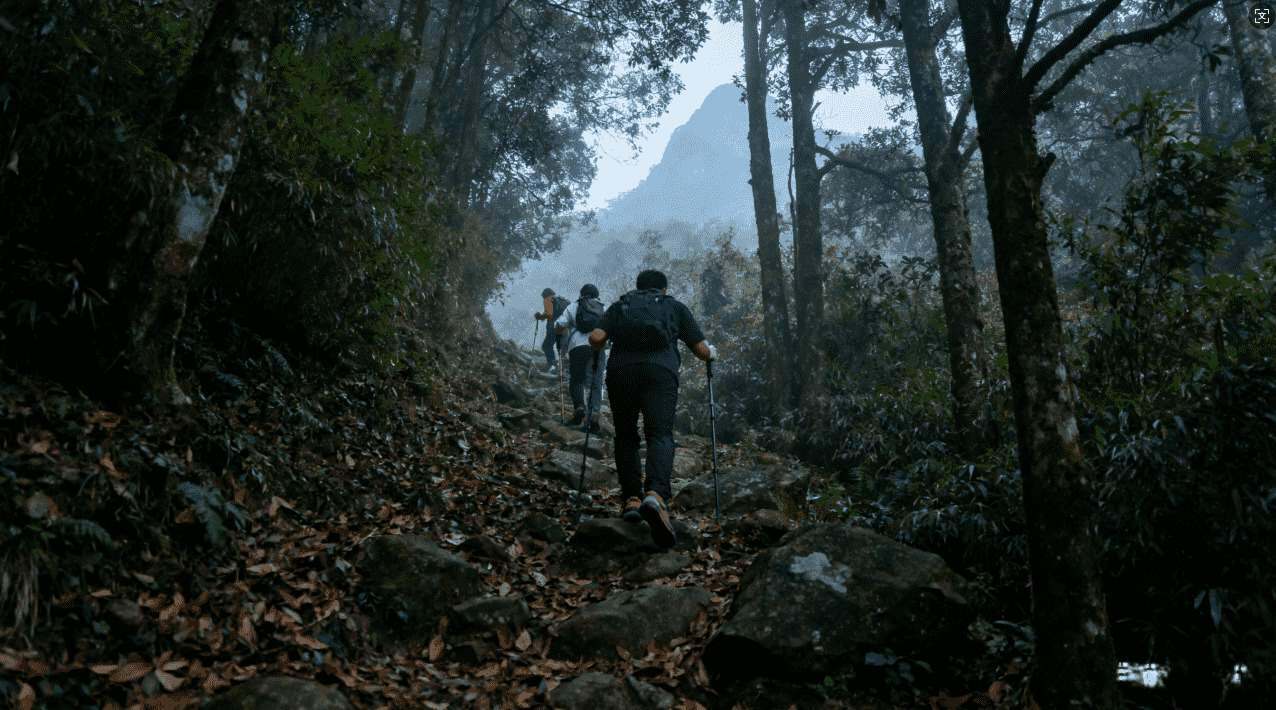 天行加速器助力球球大作战，轻松实现战无不胜的巅峰体验